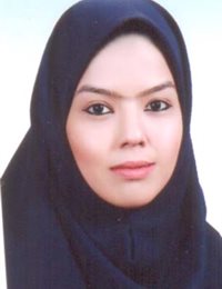 وکیل مینا رفیعی