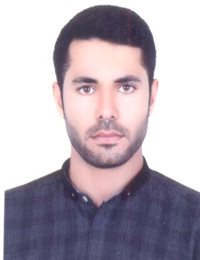 وکیل رضا معمری