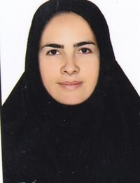 وکیل مریم حسین زاده