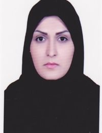 وکیل مریم ابراهیمی