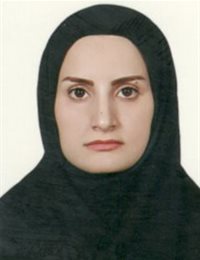 وکیل مینا ارشد