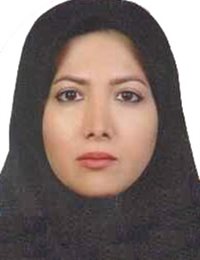 وکیل روژان رودسرابی