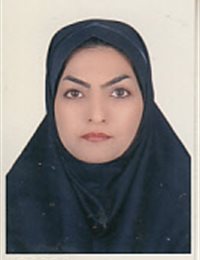 وکیل اکرم اسلامی