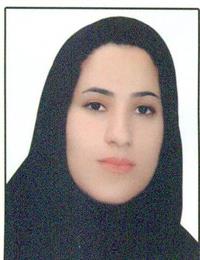 وکیل لیلا امیرزاده