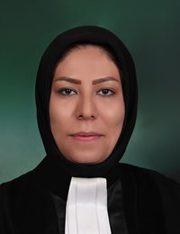 وکیل اکرم صالحی