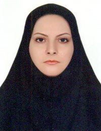 وکیل لیلا رافعی