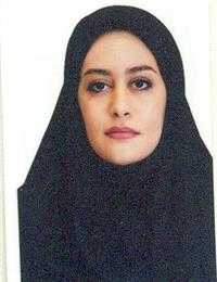 وکیل مهسا نجفی