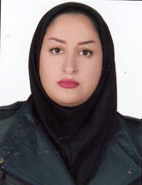 وکیل مرضیه امانی میمندی