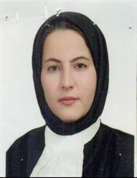 وکیل پردیس روان سالار