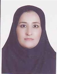 وکیل زینب افشون