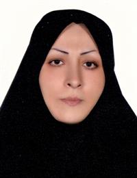 وکیل نسرین  ملکی