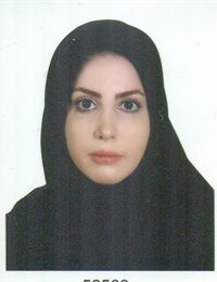 وکیل عطیه انیسی