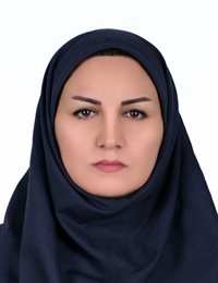 وکیل فاطمه مهربان