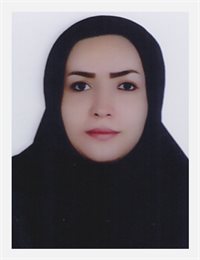 وکیل سعیده رائیجی یانسری