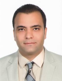 وکیل امیر ملک محمدی