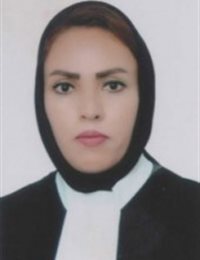 وکیل الهام زین الدینی