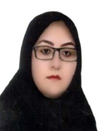 وکیل سعیده  محمودی عین الدین 