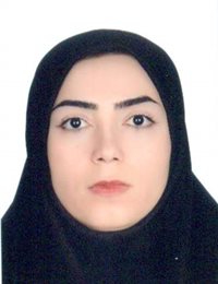 وکیل مهری محمدی