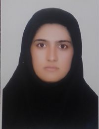 وکیل فاطمه رستمی