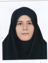 وکیل سیده مرضیه حسینی وردنجانی