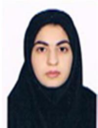 وکیل اکرم اسدی