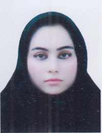 وکیل ملیحه باریز