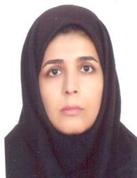 وکیل رویا الوائی جامی