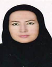 وکیل هاجر قنبری