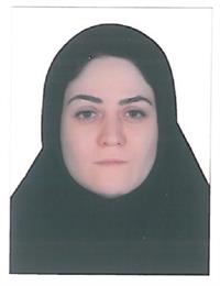 وکیل پریسا رمضانی
