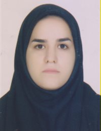 وکیل سیده الناز حسینی