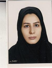 وکیل راشین حیدری ثانی