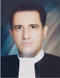 وکیل سید حامد حسینی