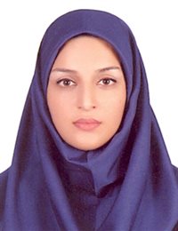 وکیل سمیه گلرخ