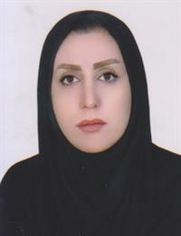 وکیل رقیه احمدی