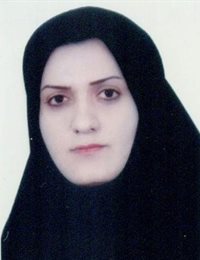 وکیل آرام آیرمی