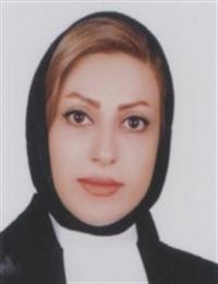 وکیل سهیلا دارم