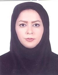 وکیل پریسا رحمتی