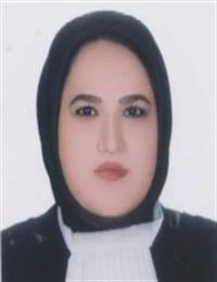 وکیل حدیث مشایخی