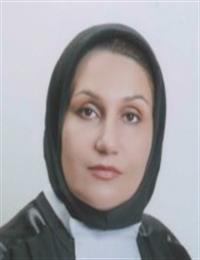 وکیل نسرین ایرانمنش زرندی