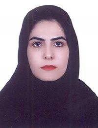 وکیل هانیه حسین نژاد 