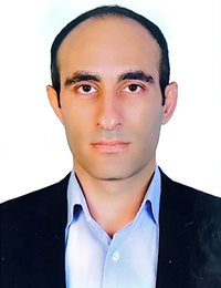 وکیل سیدرضا  میرمحمدی عزیزی 