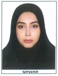 وکیل حدیثه  صالحی 