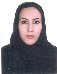 وکیل اعظم عاملی