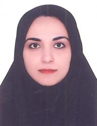 وکیل مبینا رجبی
