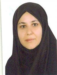 وکیل پروانه  محمدی 