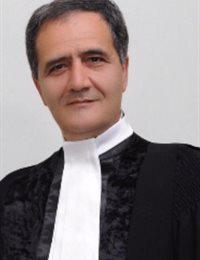 وکیل علی محمدی