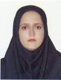 وکیل مهسا نجفی
