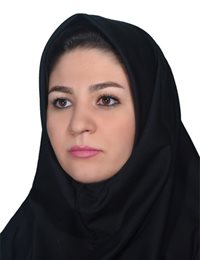 وکیل مینا ابراهیمیان