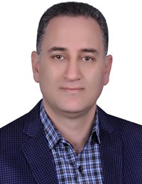 وکیل مجید ربیعی