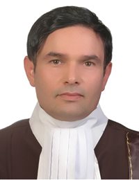 وکیل محمدباقر علی پور